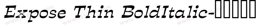 Expose Thin BoldItalic字体转换